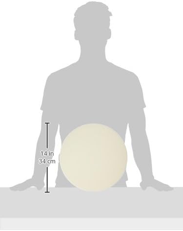 13-Inch Pizza Stone, White