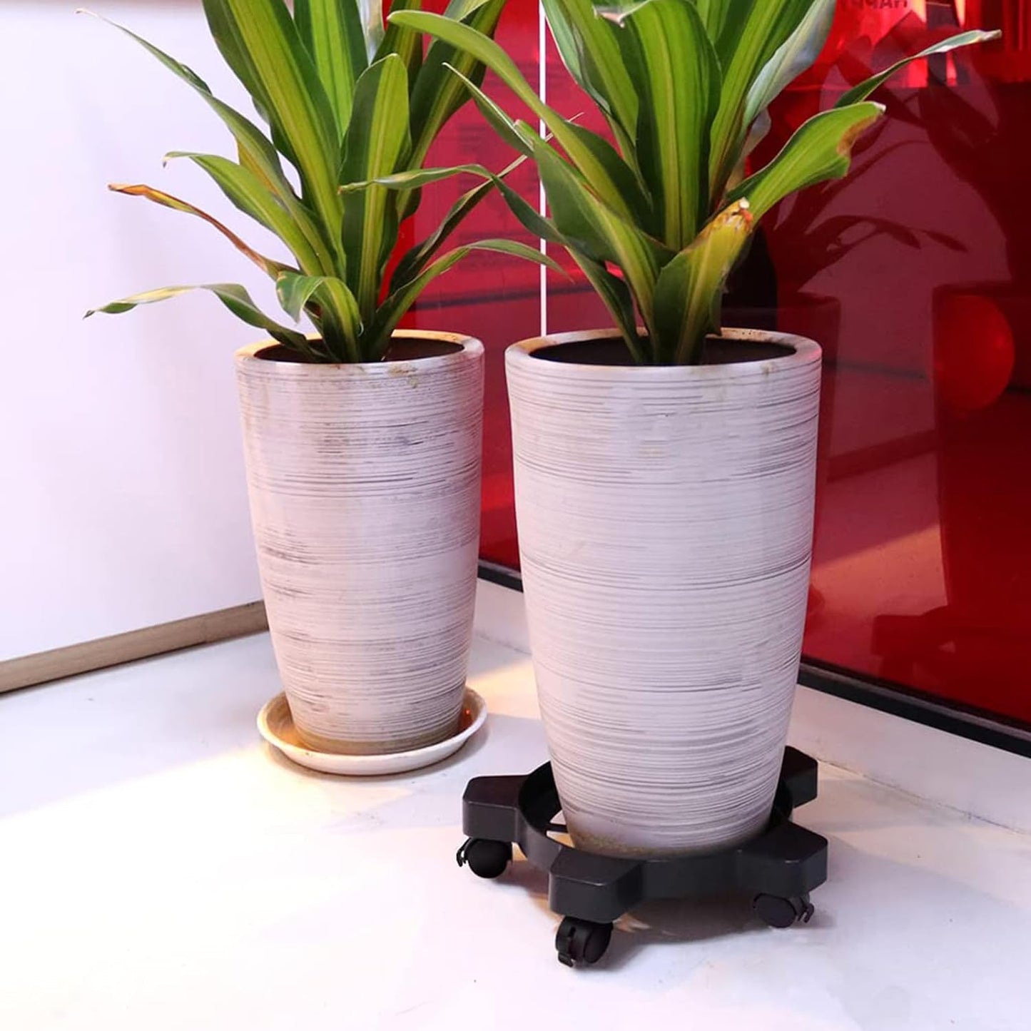 5 Gallon Bucket Dolly