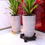 2 PIECES 5 Gallon Bucket Dolly